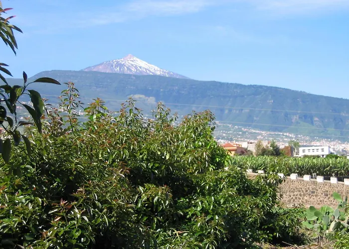 La Casita Del Barranco
